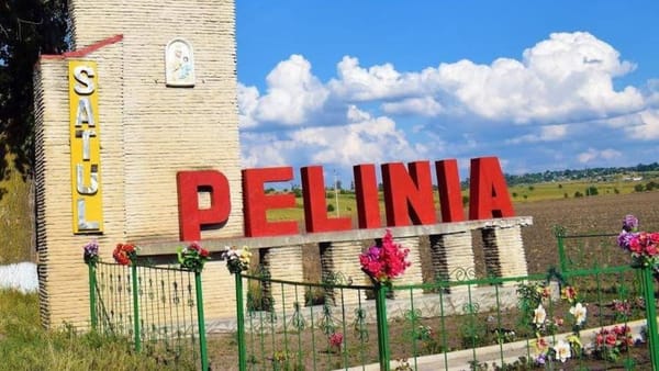 Focar de pestă porcină în Pelinia, cel mai populat sat din nordul R. Moldova