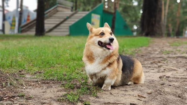 Cer noros, ploi izolate și maxime până la +12°C – prognoza meteo pentru 19 martie