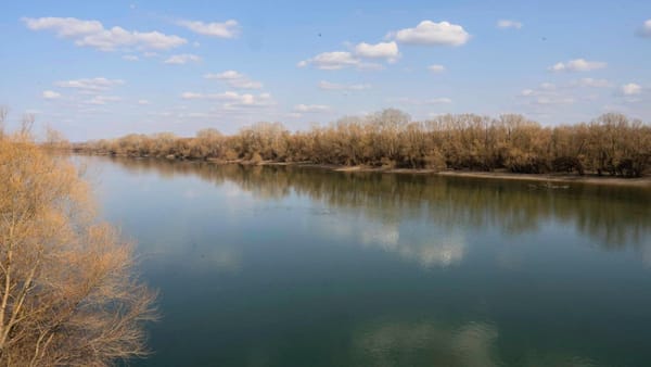 Apa – esențială pentru viață: Astăzi marcăm Ziua Mondială a acestei resurse vitale