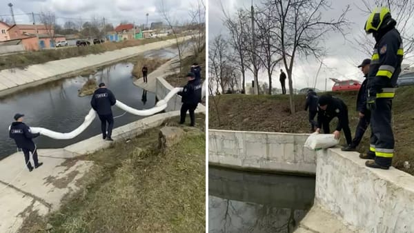 Produsele petroliere au ajuns și pe râul Bîc - specialiștii au instalat baraje absorbante