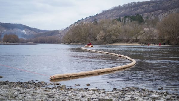 VIDEO/ Pe Nistru au fost instalate 20 de baraje pentru a opri poluarea. Intervențiile continuă