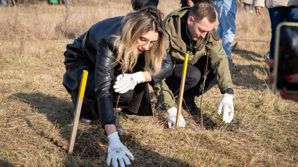 R. Moldova prinde noi rădăcini. Peste 100 de hectare de păduri au fost create de la începutul campaniei de plantare
