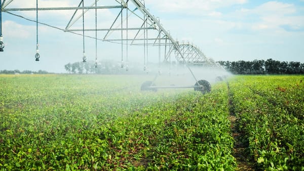 Agricultorii din R. Moldova investesc în irigare modernă cu sprijin de până la 7.500 de dolari