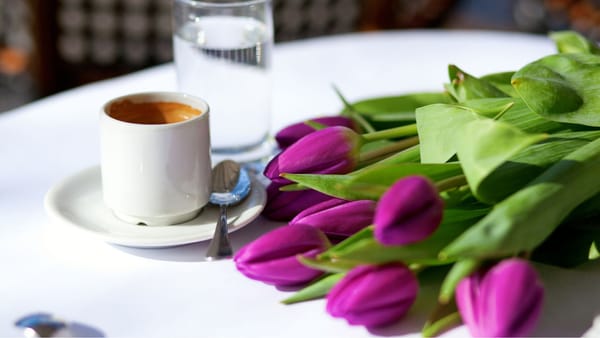 Cum va fi vremea în weekend? Temperaturile urcă până la 12°C, fără ploi