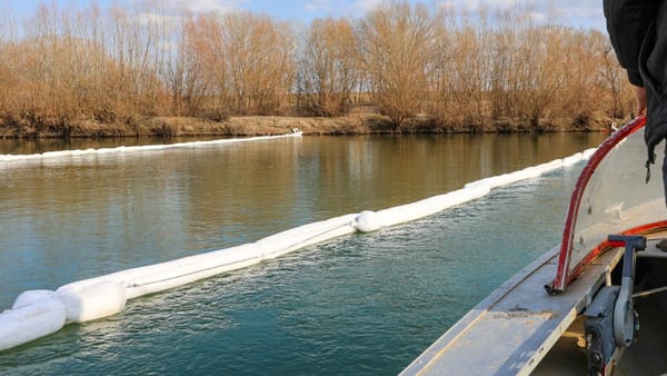 Ministrul Mediului spune că noi pete de petrol apar pe Nistru, iar intervențiile continuă. Ce spune despre păsările moarte