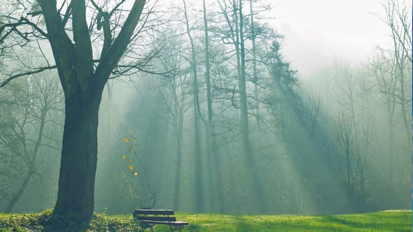 Vreme stabilă vineri: maxime de până la 11 grade Celsius și fără precipitații