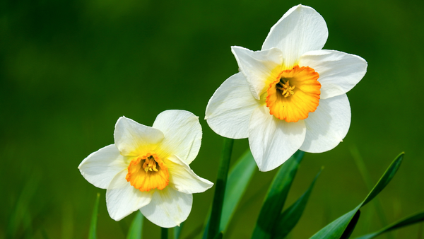 Vreme stabilă astăzi în Republica Moldova: temperaturi de până la +15°C