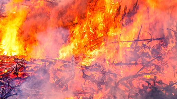 Weekend cu incendii masive de vegetație în mai multe raioane din țară - 60 de hectare, în flăcări