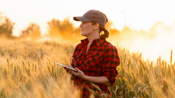 Credite de până la 150.000 de euro pentru fermieri: fonduri IFAD disponibile pentru investiții în agricultură