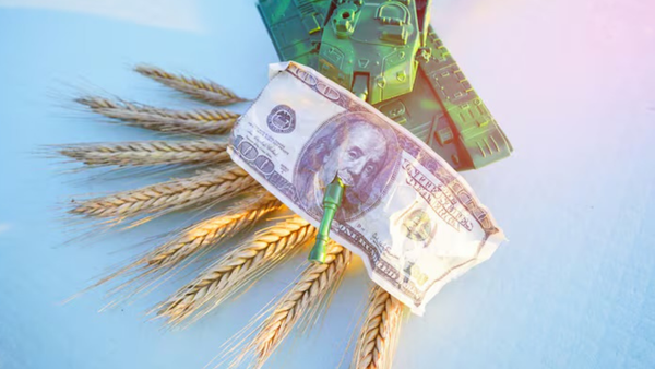 Prețurile cerealelor cresc pe piețele globale pe fondul războiului din Orientul Mijlociu