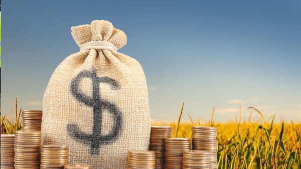 Zootehnie, legume și culturi de nișă - granturi de până la un milion de dolari pentru fermieri
