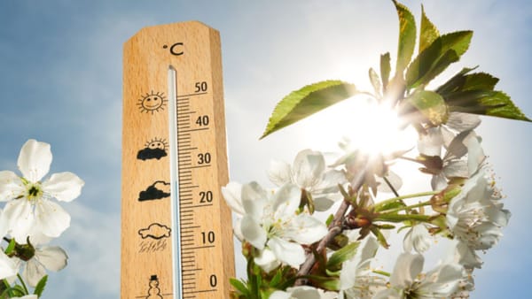 Prognoza meteo/ Cum va fi vremea de Paștele Blajinilor