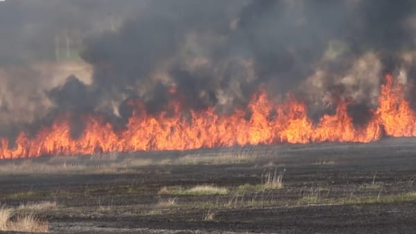 Incendiu de vegetație la Căușeni. Peste două hectare de pășune au fost deja distruse de flăcări