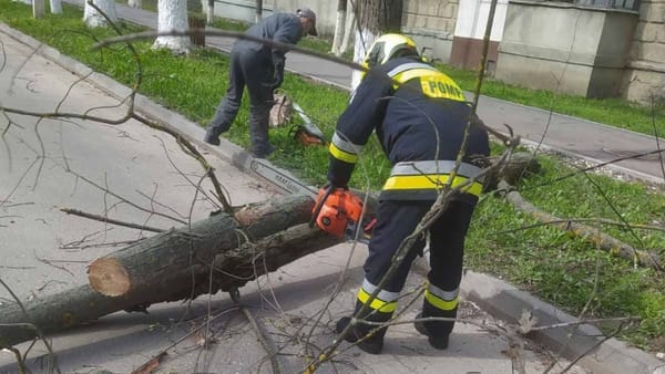 R. Moldova, afectată de vânt puternic. Salvatorii și pompierii au efectuat ieri 12 intervenții