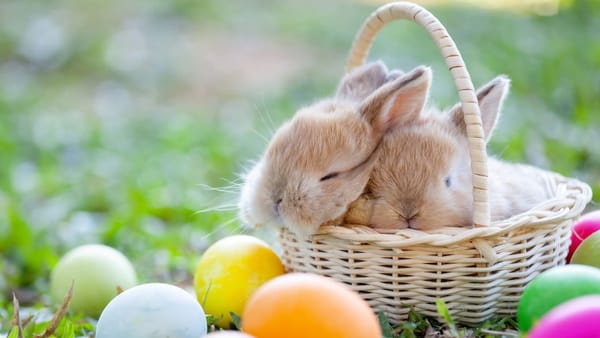 Sărbătoare Învierii aduce ploi slabe în toată țara. Prognoza meteo pentru ziua de 12 aprilie