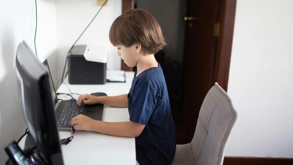 Resursele educaționale digitale, stocate într-un singur loc. Guvernul a aprobat conceptul platformei RED