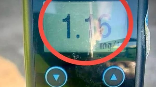 De Paștele Blajinilor, mai mulți șoferi au fost prinși băuți la volan. Poliția: „Prețuiți viața”