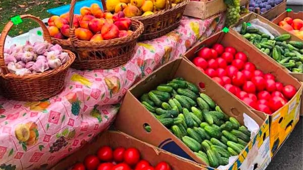 FOTO/ De unde puteți procura produse autohtone în Chișinău? Primăria anunță unde sunt amenajate târgurile