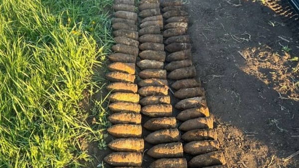 Zeci de obuze din al Doilea Război Mondial descoperite la Dănceni, Ialoveni