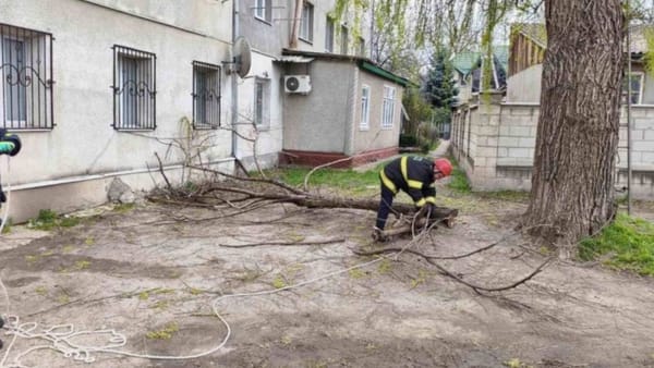 Din cauza vântului, mai multe localități din centrul țării au rămas fără energie electrică