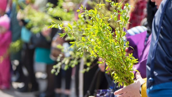 Creștinii ortodocși sărbătoresc Duminica Floriilor. Tradiții, semnificații și obiceiuri păstrate în Republica Moldova
