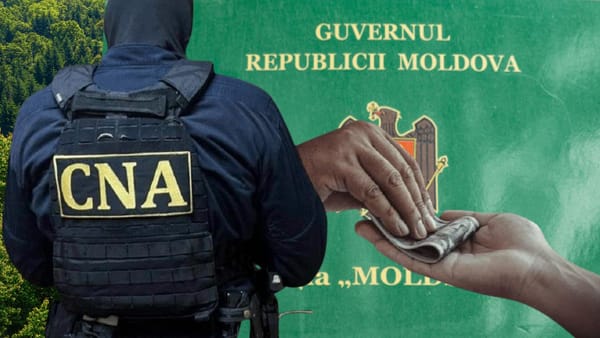 Reacția „Moldsilva” după perchezițiile CNA: Suspecții nu sunt angajați ai instituției