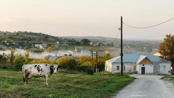 Procesul de unire voluntară a localităților devine mai simplu. Parlamentul a votat modificările care reduc birocrația