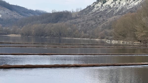 VIDEO/ Ministrul Mediului arată printr-un experiment cum apar petele de petrol pe Nistru