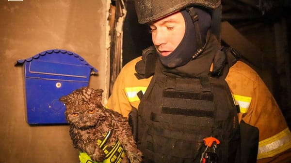 FOTO/ Noapte de foc la Odesa! Doi oameni au murit după un atac cu drone, iar mai multe blocuri au fost distruse