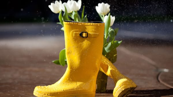 Ploi slabe și temperaturi de până la 20°C în sudul țării. Meteorologii anunță cum va fi vremea în luna aprilie