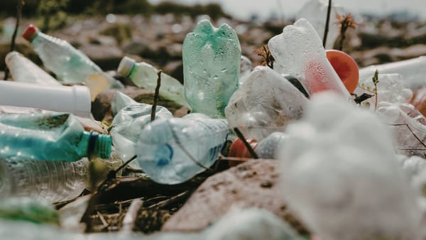 R. Moldova începe construcția centrelor de deșeuri. Peste 2.000 de gropi ilegale și tarifele prea mici rămân probleme majore