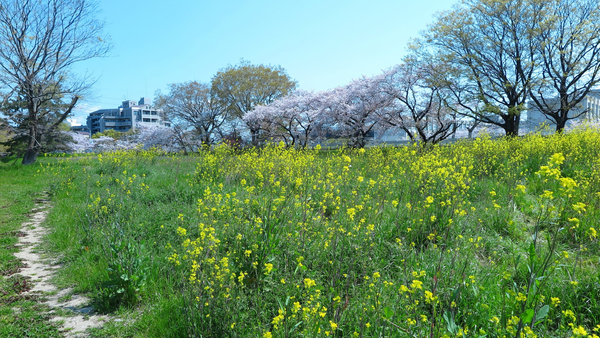Cer variabil și maxime generoase: cum va fi vremea pe 16 aprilie