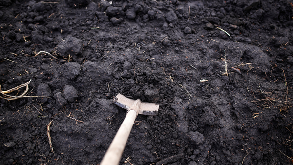 Poliția: Cheltuielile pentru exhumare și expertiză în cazul Ludmilei Vartic sunt acoperite de stat - familia însă adună bani