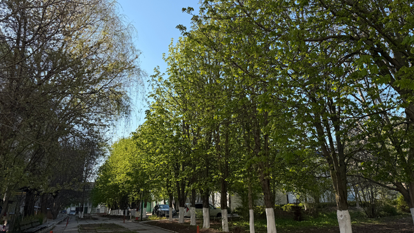 Cer noros și ploi slabe în mai multe regiuni ale țării - prognoza meteo pentru sâmbătă