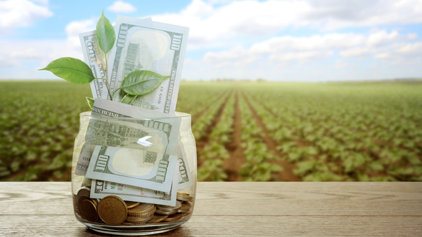 Noi subvenții pentru agricultură: accent pe investiții și sectorul zootehnic