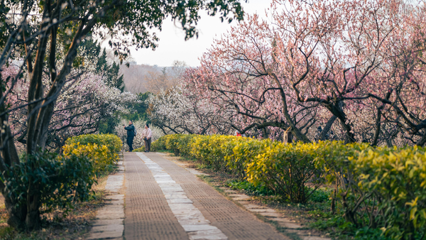 Dimineți reci și maxime de +18 grade: prognoza meteo pentru astăzi