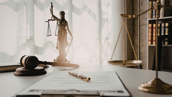 Reacția CSM după cazul Ana Cucerescu: presiunile asupra judecătorilor, inadmisibile