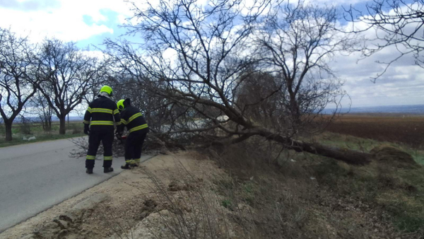 Arbori căzuți, mașini avariate și situații de risc - salvatorii au intervenit în 17 cazuri, după vântul puternic