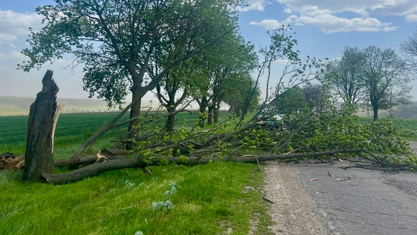 FOTO/ Vântul de ieri a afectat drumurile naționale: 16 sectoare au fost vizate de intervenții