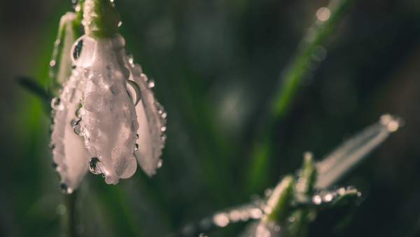 Precipitații în nord și sud, temperaturi blânde în centru - cum va fi vremea vineri