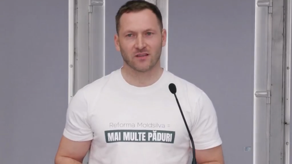 Salarii majorate cu 30% sau dublate și sistem centralizat de achiziție a lemnului - reformă amplă în sectorul silvic