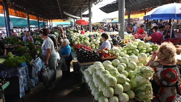 ANSA explică: Ce trebuie să știm despre nitrații din legume și fructe în sezonul agricol