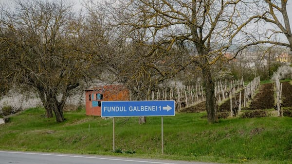 FOTO/ Proiecte de milioane pentru apă, canalizare și drumuri pentru locuitorii din satul Fundul Galbenei