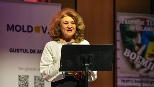 Ambasadoarea R. Moldova în Irlanda și-a dat demisia, iar Guvernul a aprobat rechemarea. Ce spune ministrul de Externe