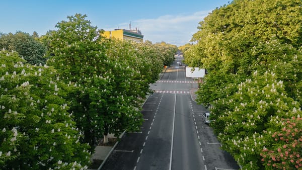 Primăvara ne spune la revedere cu maxime de până la +25°C și ploi în cea mai mare parte a țării