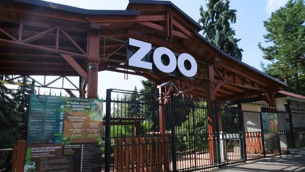 Din 1 iunie, vizitatorii Grădinii Zoologice din Chișinău vor putea rămâne pe teritoriul menajeriei până la ora 21:00