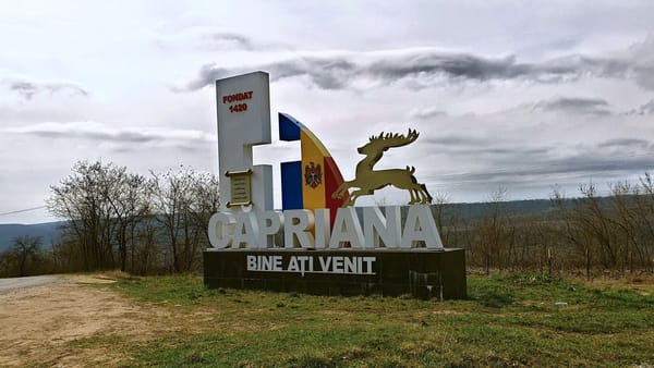 Crimă în satul Căpriana. O femeie și-ar fi omorât soțul în urma consumului de alcool