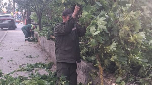 Vântul a provocat pagube în Chișinău. În sectorul Botanica a fost doborât un copac, iar în Centru s-au rupt crengi