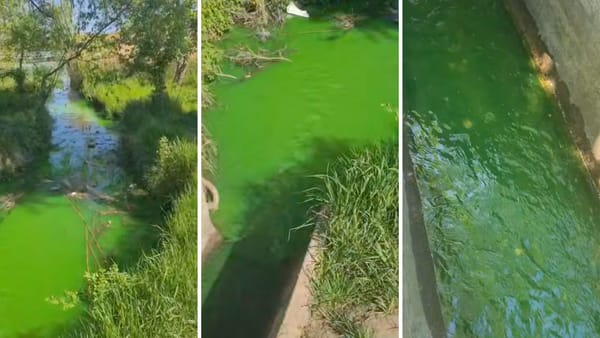 Apă verde în zona Buiucani, după un deranjament la o conductă termică. Cum a comentat Termoelectrica?
