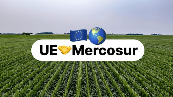 Acordul UE-Mercosur intră astăzi în vigoare. Ce înseamnă pentru piața europeană aplicarea provizorie din 1 mai